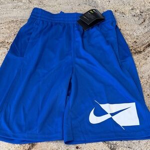 Nike Boys Royal Blue Sports Shorts
